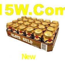 Programa VIP New88